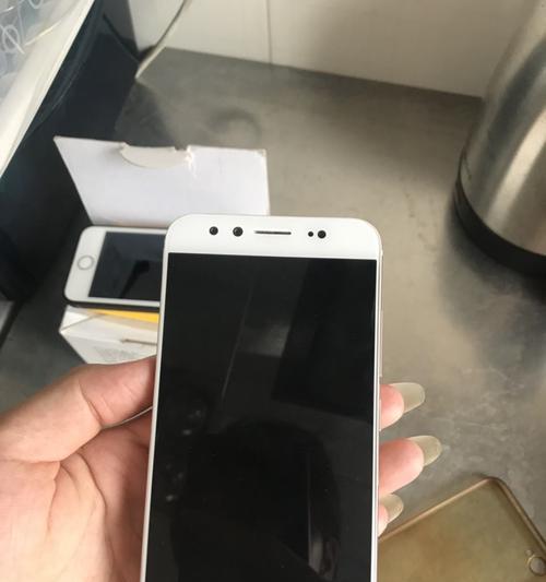 VivoX9L手机电池表现如何？（全面评测VivoX9L手机电池续航能力）