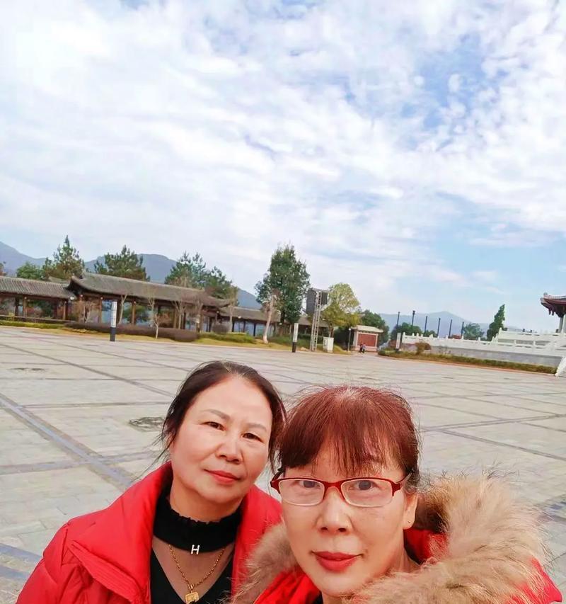 华为CAM-AL00C00B210手机性能评测（全面分析华为CAM-AL00C00B210手机的功能与性能表现）