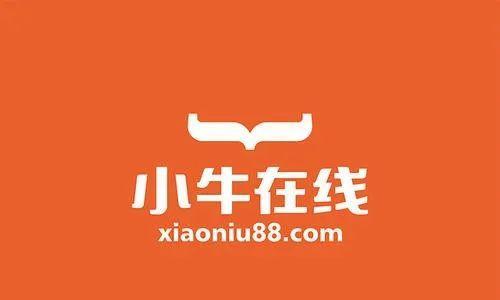 小牛金服（揭秘小牛金服的实力与成就）
