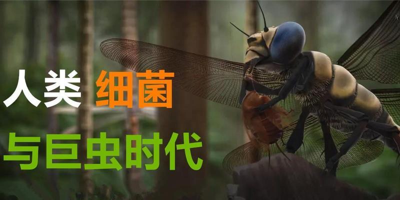 细菌的重要性（探究细菌对人类生存的影响及其重要性）