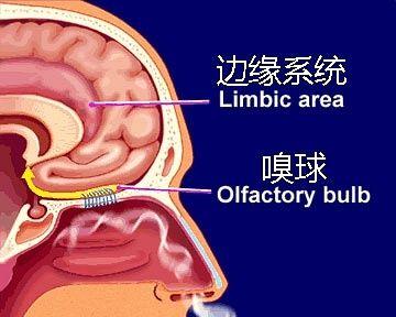 探索环球科学的奥秘（揭开环球科学背后的神秘面纱）