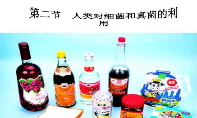 细菌的重要性（探索细菌的神奇世界，了解它们对人类的重要性）