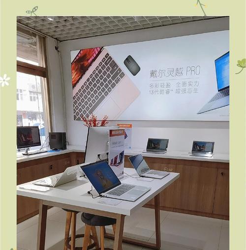 戴尔笔记本系统盘装系统教程（详细教你如何使用系统盘为戴尔笔记本装系统）